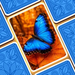 Значок Jigsaw Puzzle: Solitaire Zen